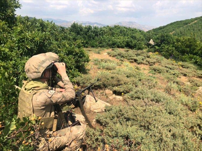 Terör örgütü PKK'ya Bitlis'te 'üst düzey' darbe